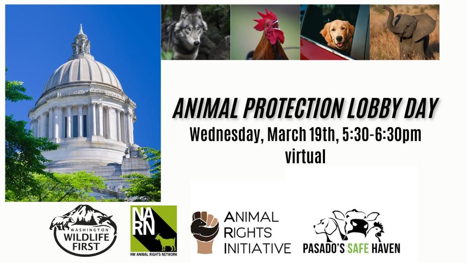 Northwest Animal Rights Network - NARN