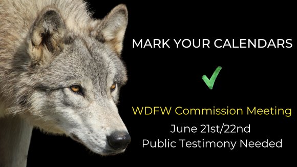 Northwest Animal Rights Network - NARN