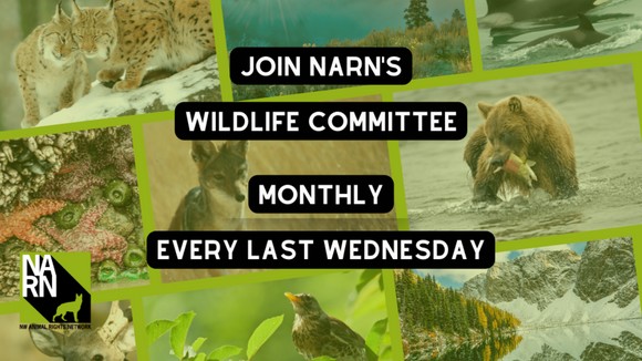 Northwest Animal Rights Network - NARN