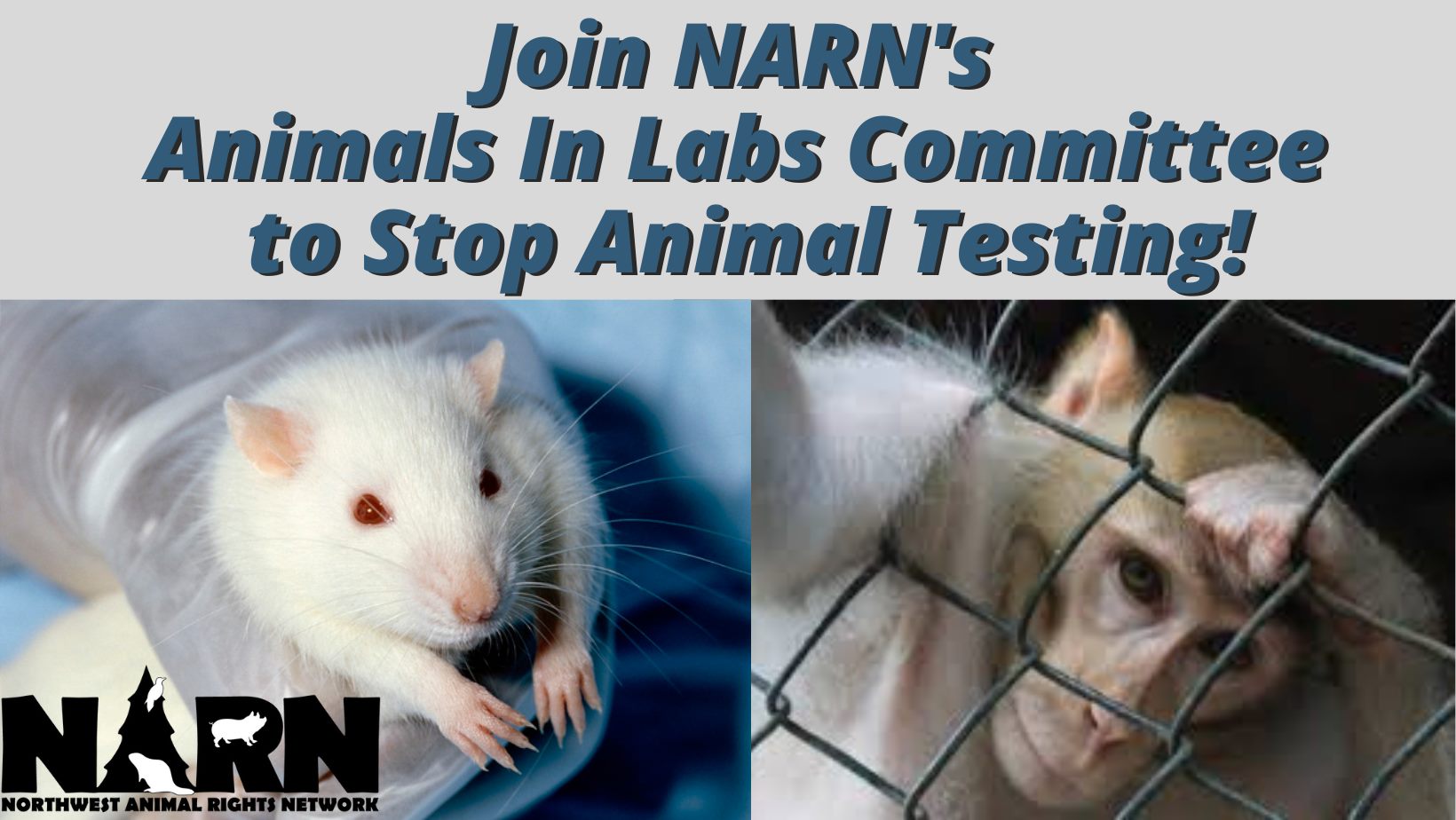 Northwest Animal Rights Network - NARN