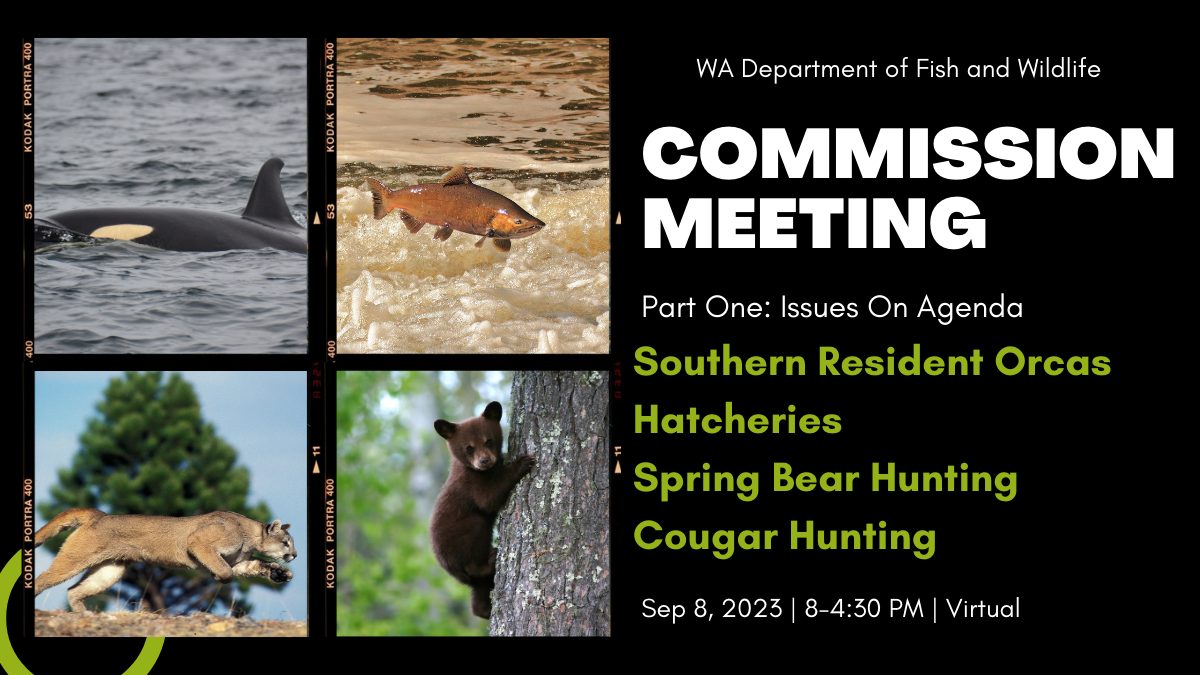 Northwest Animal Rights Network - NARN