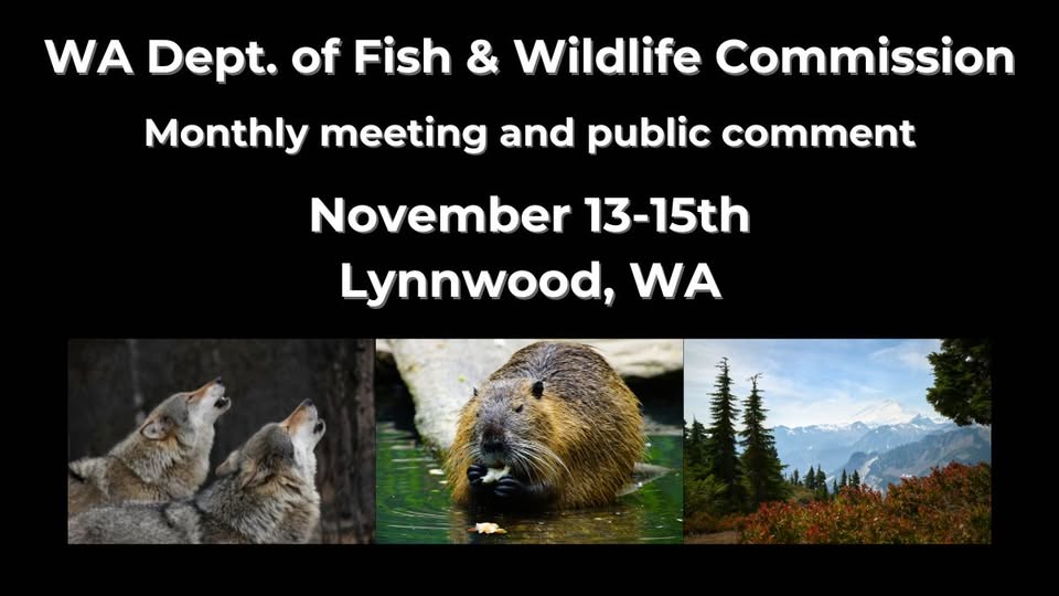 Northwest Animal Rights Network - NARN