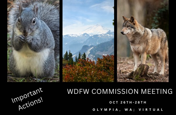 Northwest Animal Rights Network - NARN
