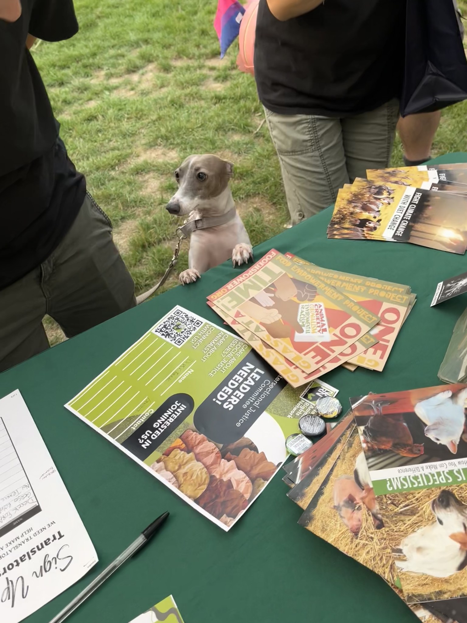 Northwest Animal Rights Network - NARN