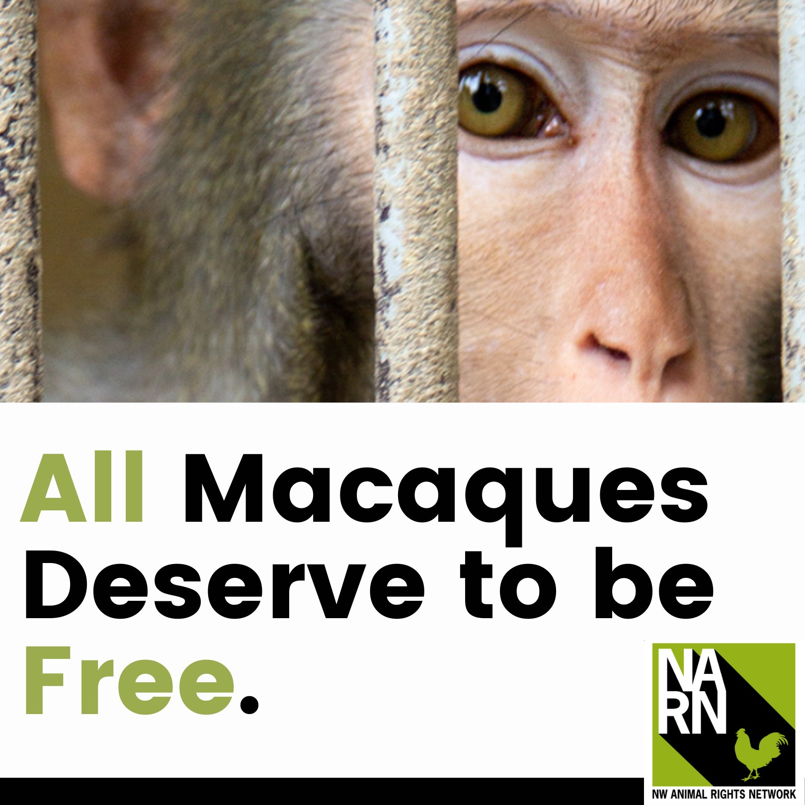 Northwest Animal Rights Network - NARN