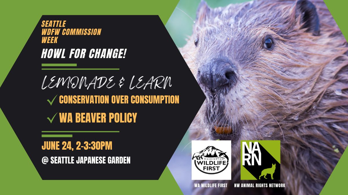 Northwest Animal Rights Network - NARN