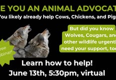 Northwest Animal Rights Network - NARN