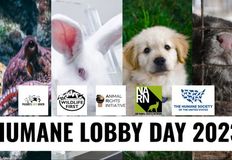 Northwest Animal Rights Network - NARN