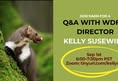 Northwest Animal Rights Network - NARN
