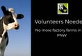 Northwest Animal Rights Network - NARN