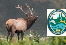 Northwest Animal Rights Network - NARN