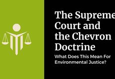 Northwest Animal Rights Network - NARN