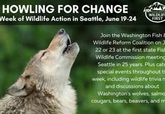 Northwest Animal Rights Network - NARN