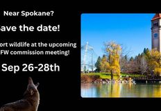 Northwest Animal Rights Network - NARN