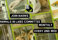 Northwest Animal Rights Network - NARN