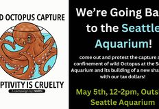 Northwest Animal Rights Network - NARN