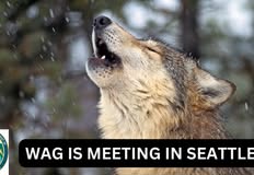 Northwest Animal Rights Network - NARN