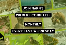 Northwest Animal Rights Network - NARN