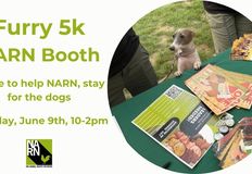 Northwest Animal Rights Network - NARN