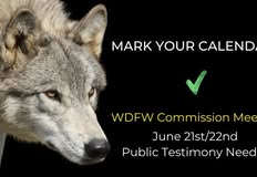 Northwest Animal Rights Network - NARN