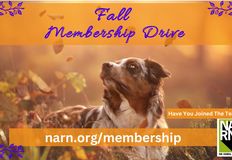 Northwest Animal Rights Network - NARN
