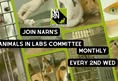 Northwest Animal Rights Network - NARN