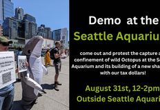 Northwest Animal Rights Network - NARN