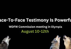 Northwest Animal Rights Network - NARN