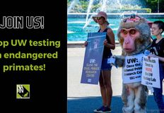 Northwest Animal Rights Network - NARN