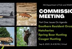 Northwest Animal Rights Network - NARN