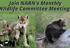 Northwest Animal Rights Network - NARN