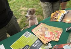 Northwest Animal Rights Network - NARN