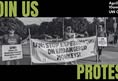Northwest Animal Rights Network - NARN