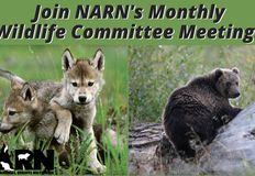 Northwest Animal Rights Network - NARN