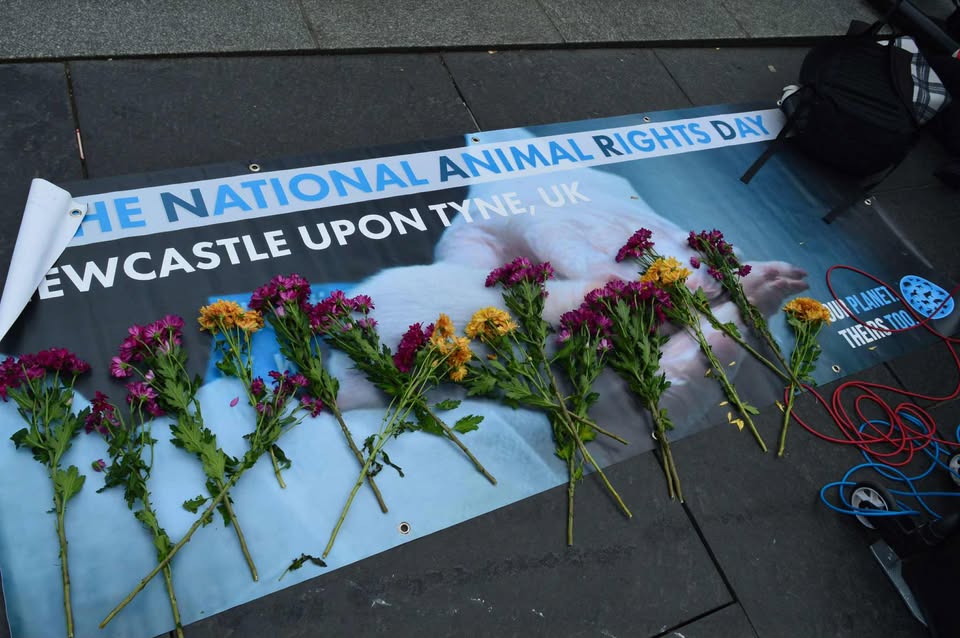 North East Animal Rights - NEAR