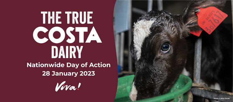 North East Animal Rights - NEAR
