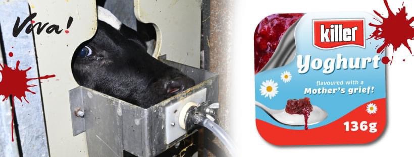 North East Animal Rights - NEAR