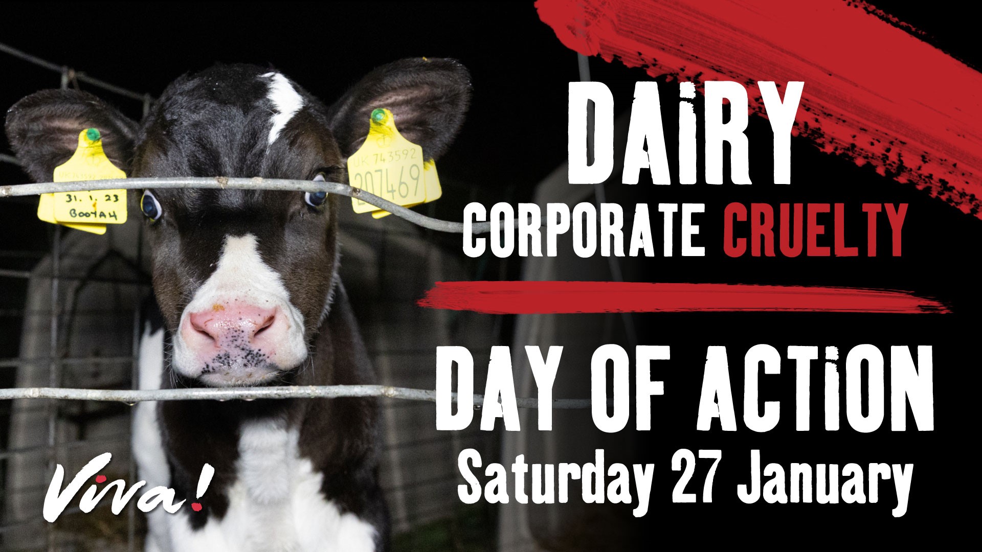 North East Animal Rights - NEAR