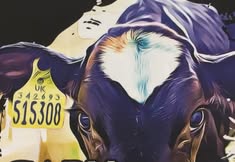 North East Animal Rights - NEAR