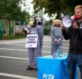 PETA Germany
