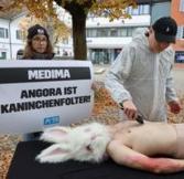 PETA Germany