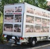 PETA Germany