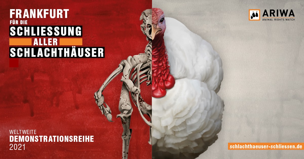 Schlachthäuser schließen