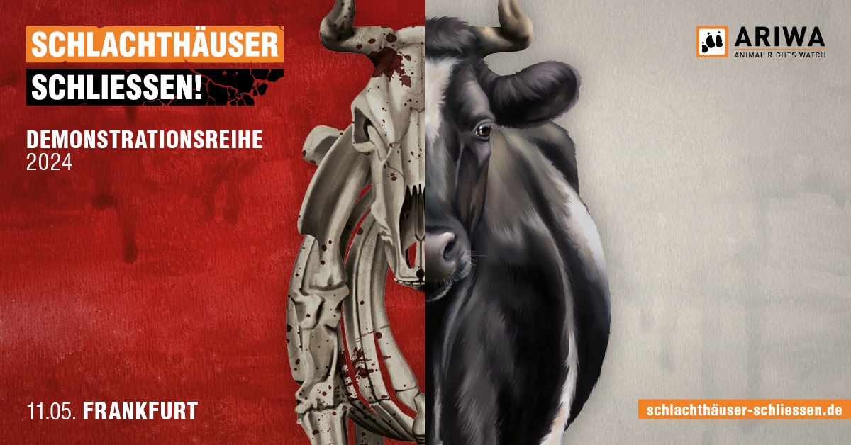 Schlachthäuser schließen