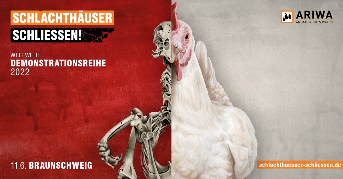 Schlachthäuser schließen