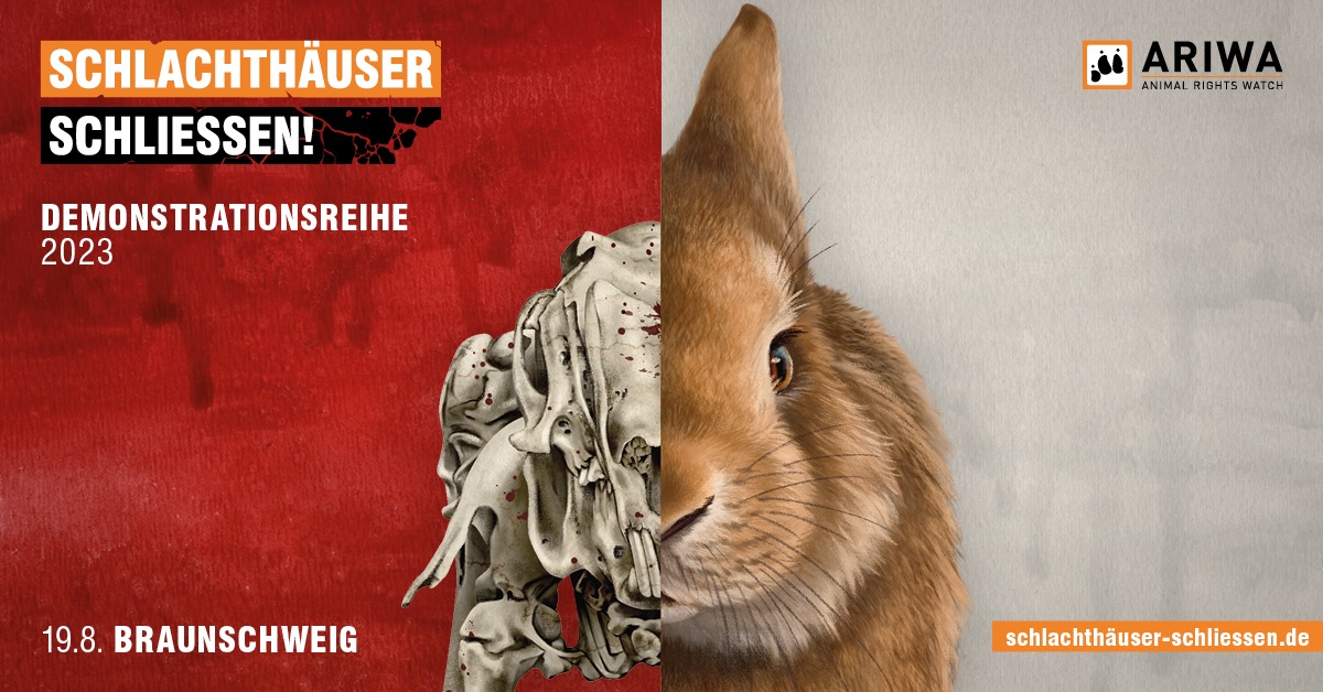 Schlachthäuser schließen