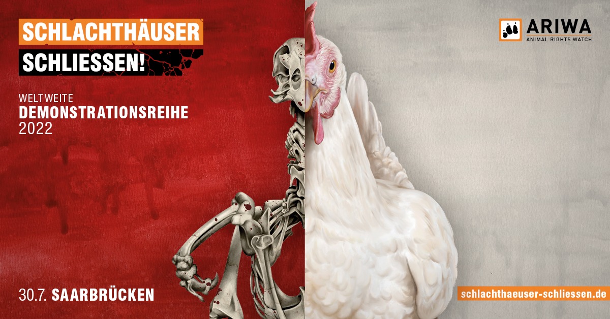 Schlachthäuser schließen