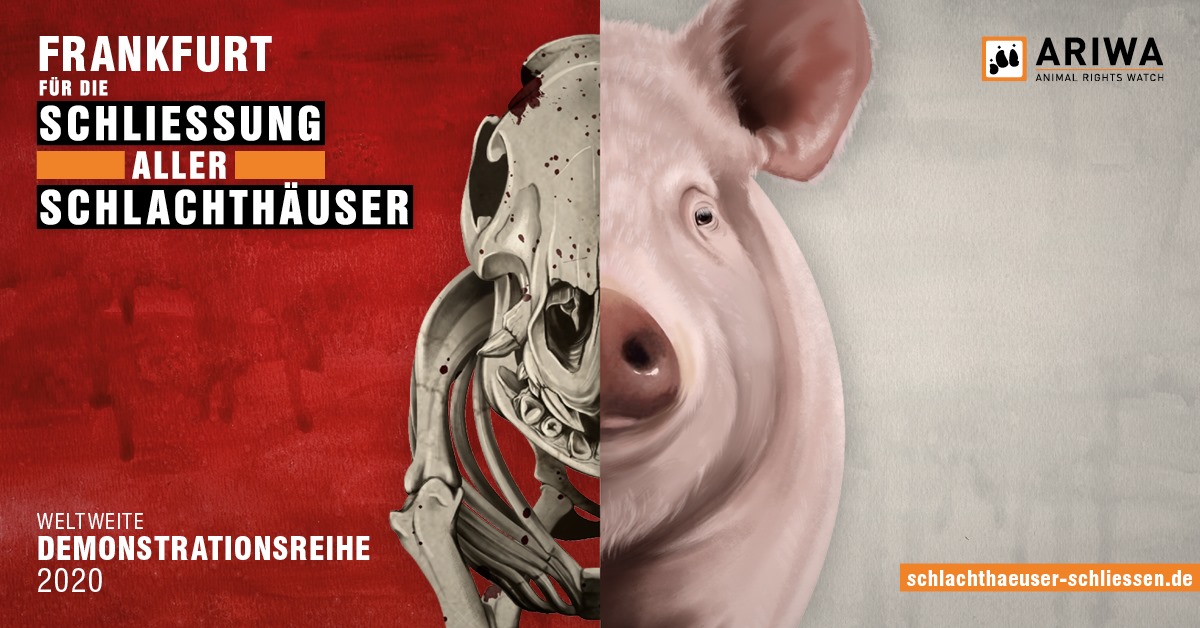 Schlachthäuser schließen
