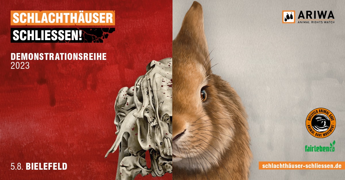 Schlachthäuser schließen
