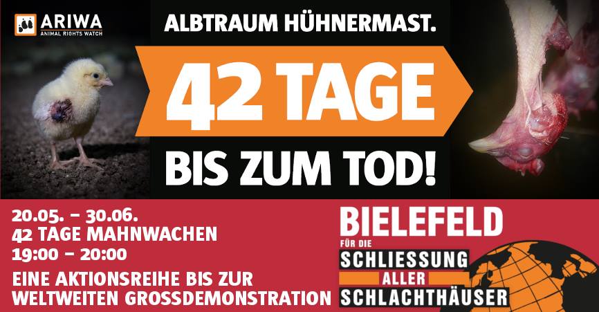 Schlachthäuser schließen